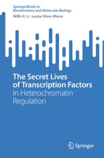 The Secret Lives of Transcription Factors: In Heterochromatin Regulation