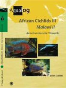 Aqualog African Cichlids III, Malawi II - Peacocks
