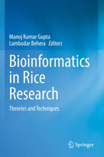 Bioinformatics in Rice Research: Theories and Techniques