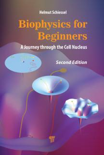 Biophysics for Beginners: A Journey through the Cell Nucleus